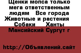 Щенки мопса только мега-ответственным людям - Все города Животные и растения » Собаки   . Ханты-Мансийский,Сургут г.